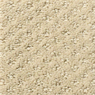 Shaw Floors Infallible Instinct Boutique SHAW