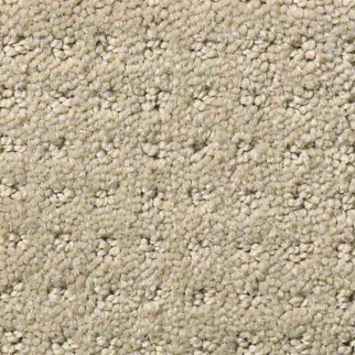 Shaw Floors Perpetual Move Mindful SHAW