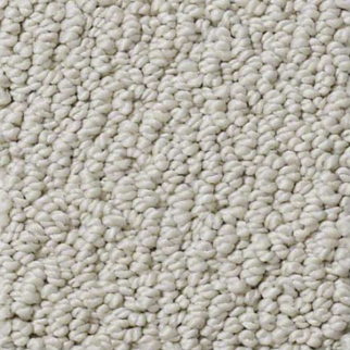 Shaw Floors Smart Thinking Mindful SHAW