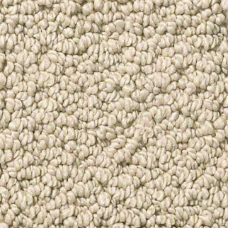 Shaw Floors Smart Thinking Espresso SHAW