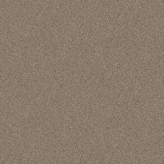 Shaw Floors Influencer Raw Wood SHAW