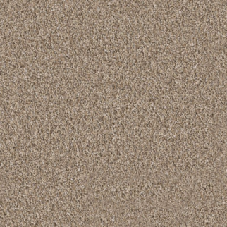 Shaw Floors Elevated I Summer Straw SHAW