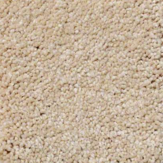 Shaw Floors Ultimate Expressions 12' Marzipan SHAW