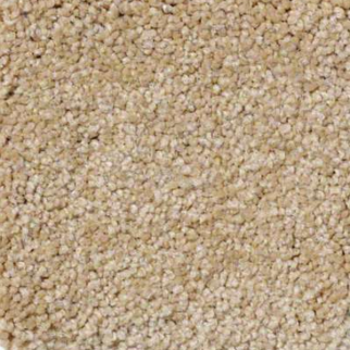 Shaw Floors Ultimate Expressions 12' Cornfield SHAW