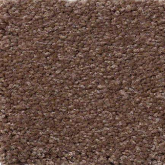 Philadelphia Commercial Everyday Comfort (S) Rich Harvest Shaw