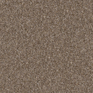 Shaw Floors Yes You Can II 12' Honeycomb SHAW