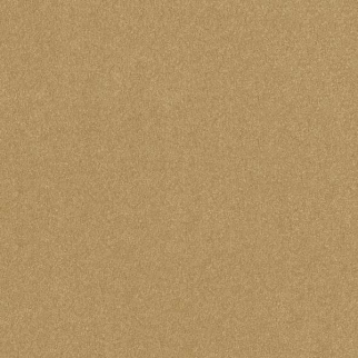 Shaw Floors Hard At Play II 12' Honeycomb SHAW