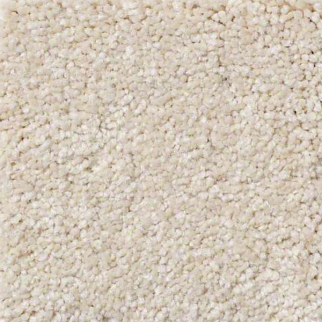 Philadelphia Commercial Everyday Comfort (S) Custard Shaw