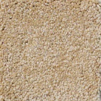 Philadelphia Commercial Everyday Comfort (S) Toast Shaw