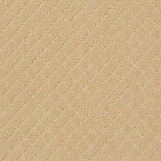 Tuftex Pawnache Cork SHAW