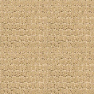 Tuftex Pawstruck Cork SHAW