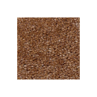 Shaw Floors XV071 Amber Wood SHAW