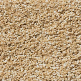 Tuftex Acadia Park Farro SHAW