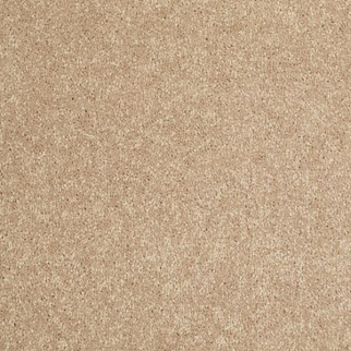 Shaw Floors Dalton 40 12 Straw Hat SHAW