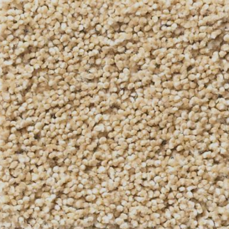 Tuftex Acadia Park Wicker SHAW