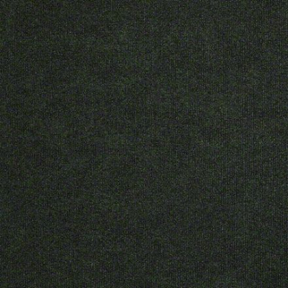 Philadelphia Commercial Backdrop I 12' Forest Night Shaw