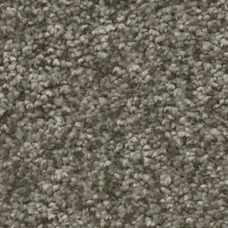 Shaw Floors You Got This III Rerooted Nature SHAW