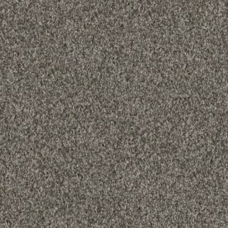 Shaw Floors Yes You Can II 15' Rerooted Nature SHAW