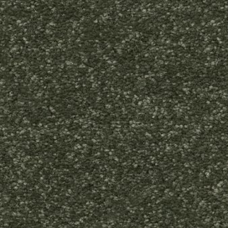 Shaw Floors Hard At Play II 15' Rerooted Nature SHAW