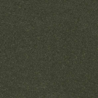 Shaw Floors Hard At Play I 15' Rerooted Nature SHAW