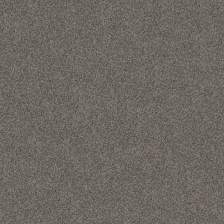 Shaw Floors Yes You Can III 12' Rerooted Nature SHAW