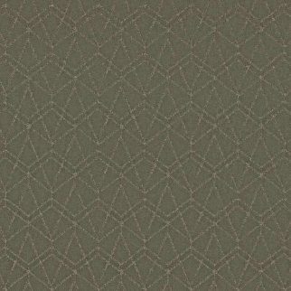 Shaw Floors Point Of View Rerooted Nature SHAW