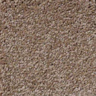 Shaw Floors Ultimate Expressions 12' Mojave SHAW