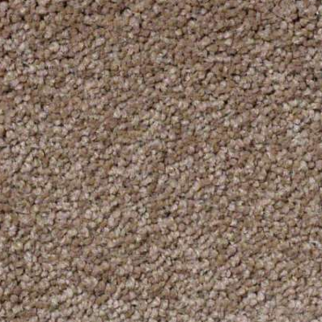 Shaw Floors Sandy Hollow Classic III Mojave SHAW