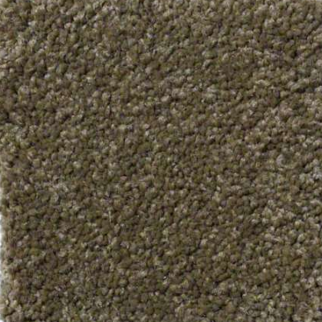 Shaw Floors Ultimate Expressions 12' Green Tea SHAW