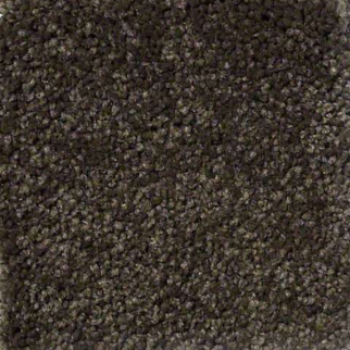 Philadelphia Commercial Everyday Comfort (S) Amazon Shaw