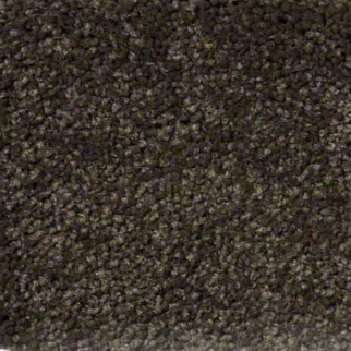 Shaw Floors Ultimate Expressions 12' Tropic Vine SHAW