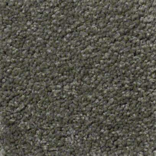 Shaw Floors Ultimate Expressions 12' Alpine Fern SHAW