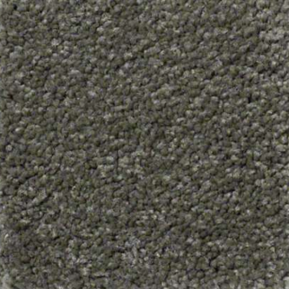 Shaw Floors Sandy Hollow Classic III Alpine Fern SHAW