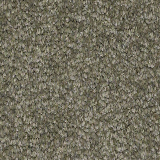 Shaw Floors Sandy Hollow Classic I Alpine Fern SHAW