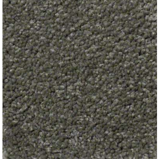 Shaw Floors Sandy Hollow Classic II Alpine Fern SHAW