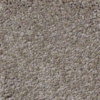 Shaw Floors Ultimate Expressions 12' Chinchilla SHAW