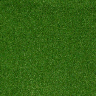 Philadelphia Commercial Cabana (T) Backyard Shaw