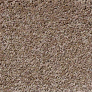 Philadelphia Commercial Everyday Comfort (S) Log Cabin Shaw