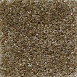 Shaw Floors Zipp Yalta SHAW