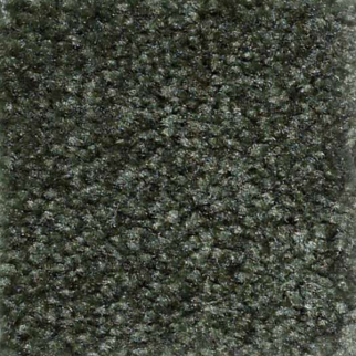 Shaw Floors Zipp Gable SHAW