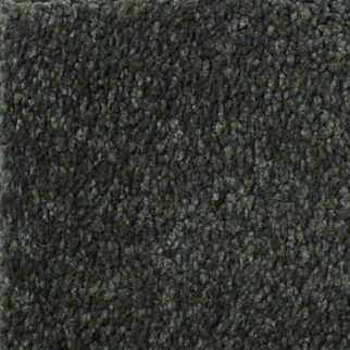 Shaw Floors Sandy Hollow Classic II Lilly Pad SHAW