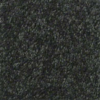 Shaw Floors Sandy Hollow Classic III Lilly Pad SHAW