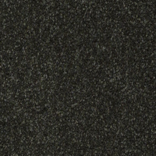 Shaw Floors Sandy Hollow Classic I Lilly Pad SHAW