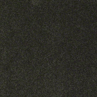 Shaw Floors Sandy Hollow Classic II Lily Pad SHAW