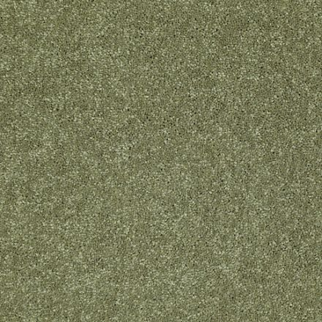 Shaw Floors Dalton 40 12 Going Green SHAW