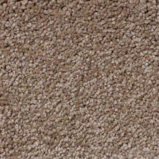 Shaw Floors Magic At Last II 12' Wheat Grass SHAW