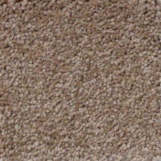 Shaw Floors Magic At Last I 15' Wheat Grass SHAW