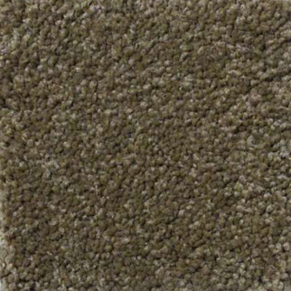 Shaw Floors Magic At Last II 12' Celery SHAW