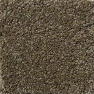 Shaw Floors Magic At Last II 15' Celery SHAW