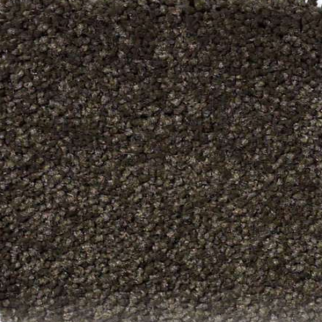 Shaw Floors Magic At Last III 12' Sprout SHAW